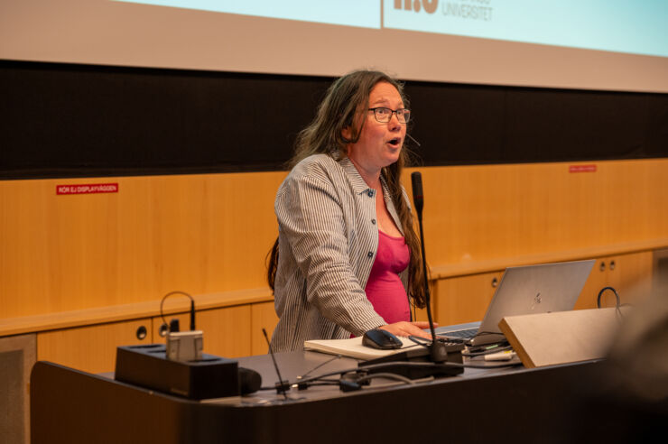 Lecture by Johanna Nählinder.