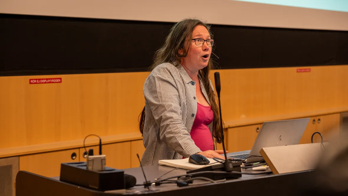 Lecture by Johanna Nählinder.
