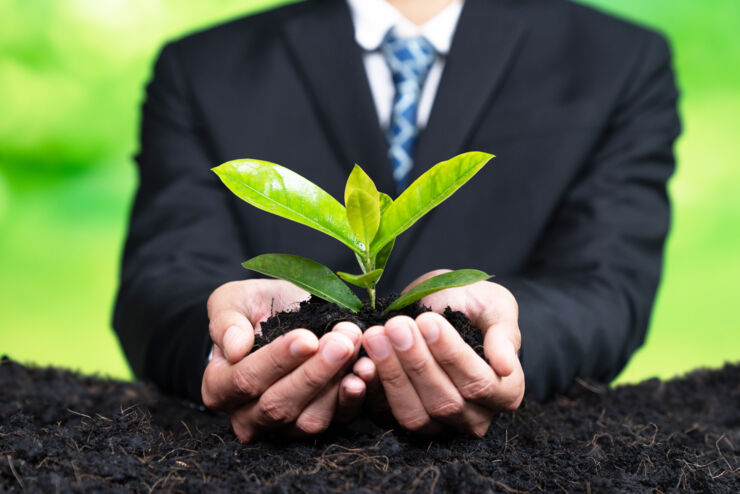 A man in a suit holds a green plant in his hand.