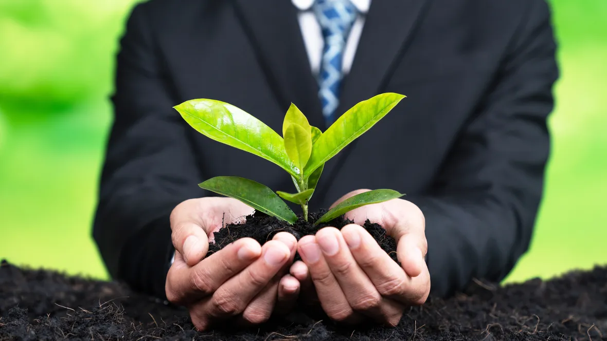 En man i kostym håller en grön växt i handen.