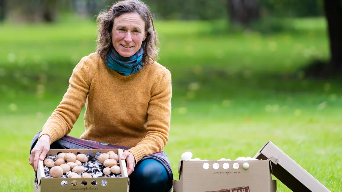 Bild på svampodling och kvinna. 
