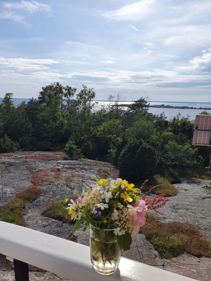 Skärgård och blommor.