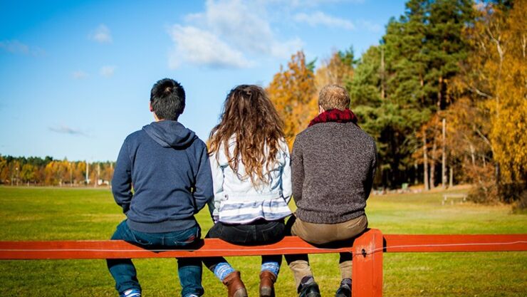 Three people sitting on a fence with their back to the camera