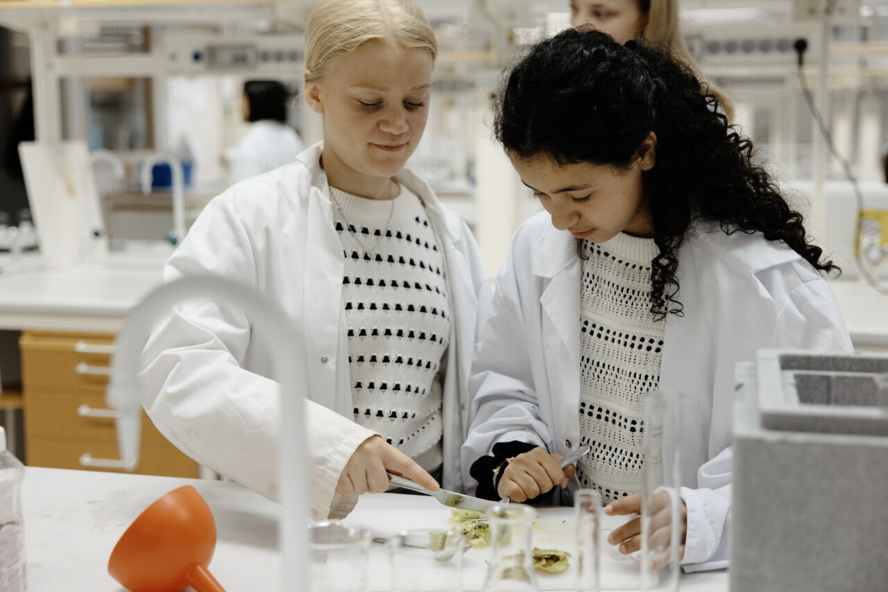 Bild på deltagare under laboration