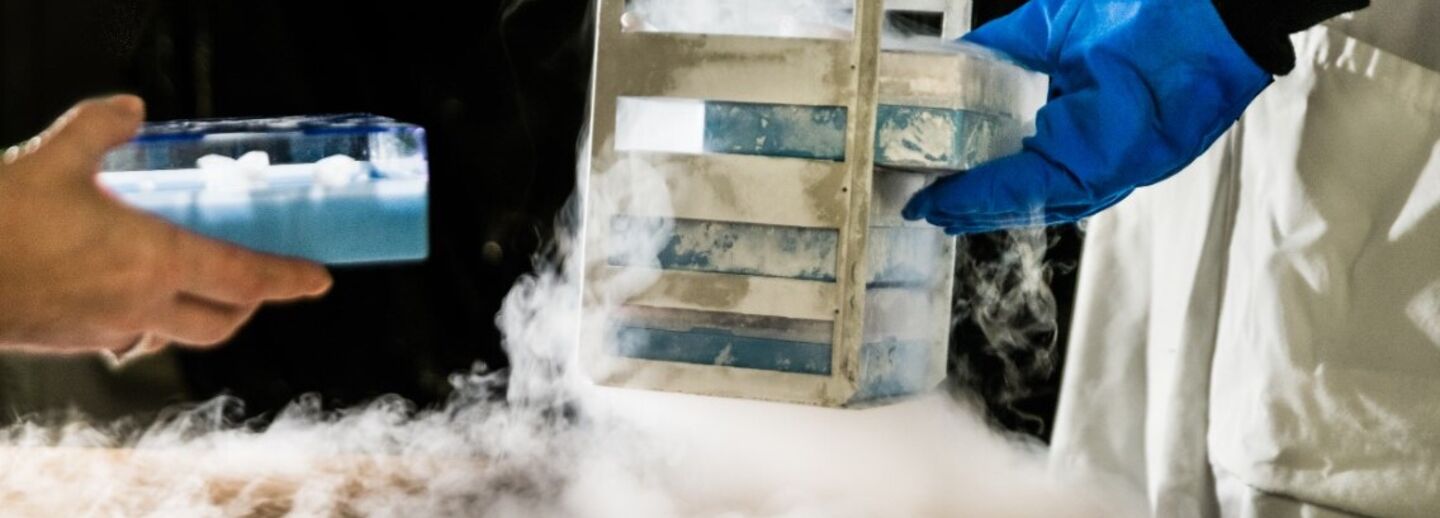 Forskare hanterar flytande kväve.