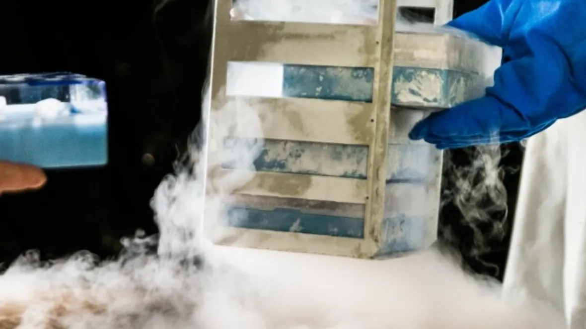 Scientists handle liquid nitrogen.