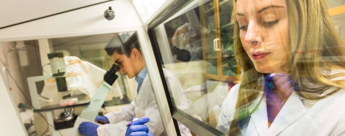 Two researchers working in a lab.