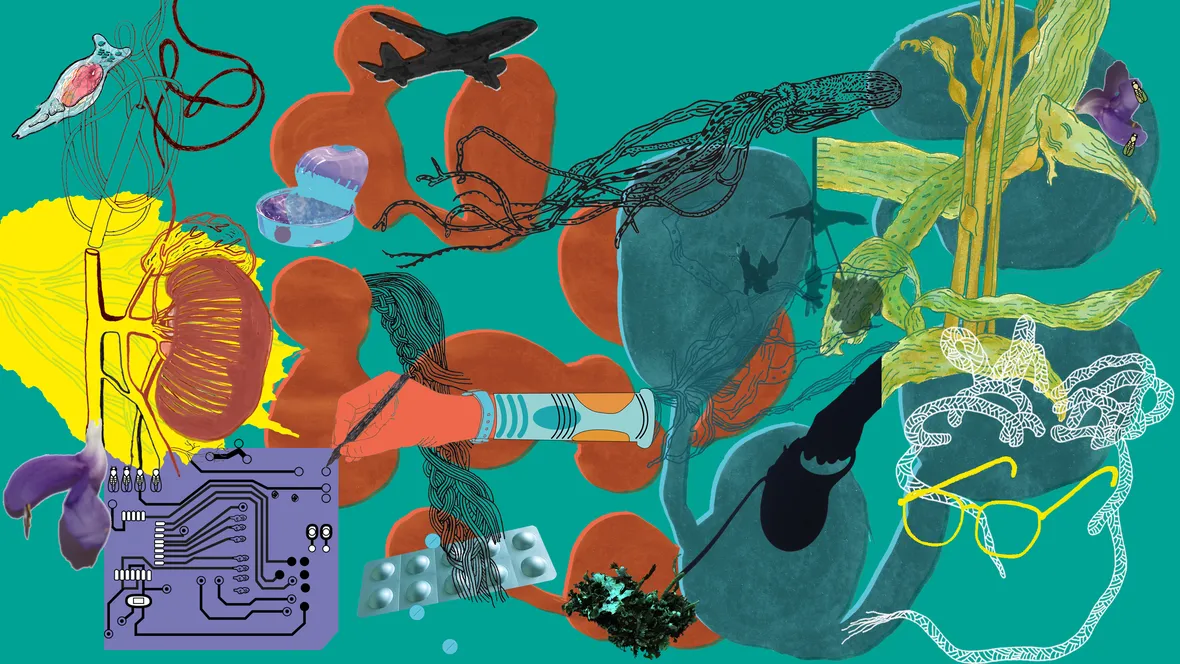 Illustrated banner for The Posthumanities Hub