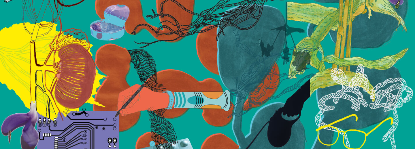 Illustrated banner for The Posthumanities Hub