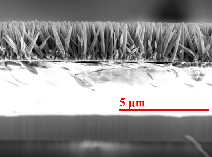 Macro photo nanostructure