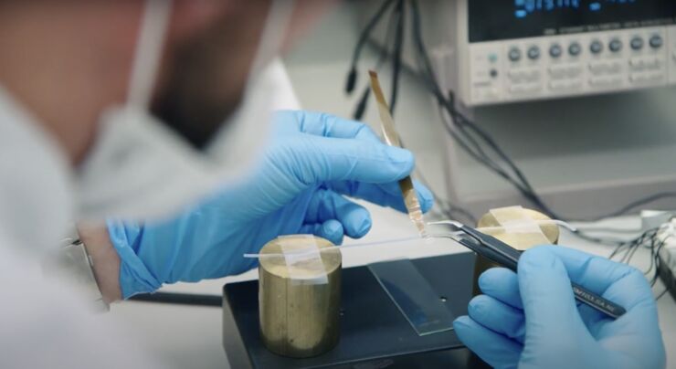 Hands wearing gloves in a lab environment