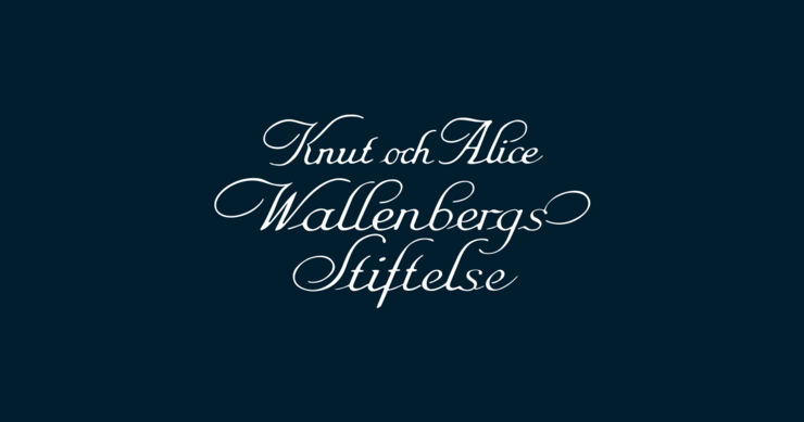 Knut och Alice Wallenbergs stiftelse.