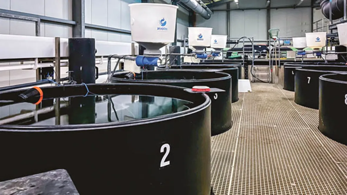 Small scale fish farming.