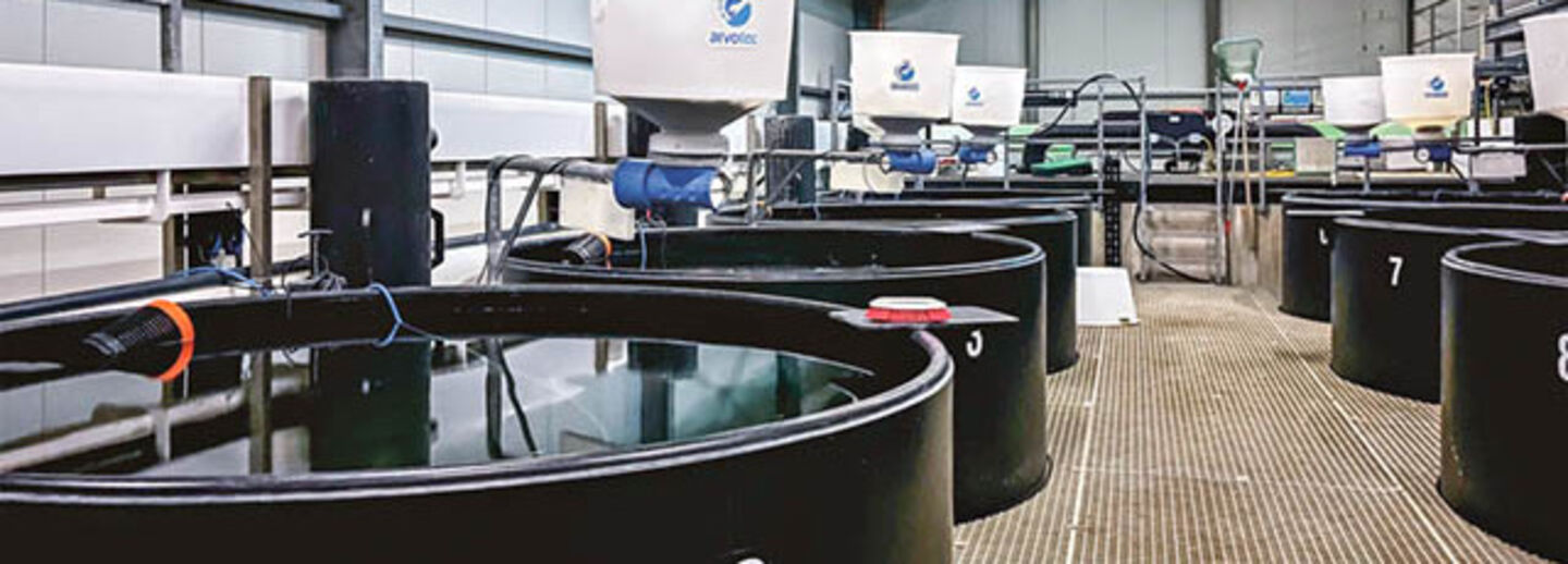 Small scale fish farming.