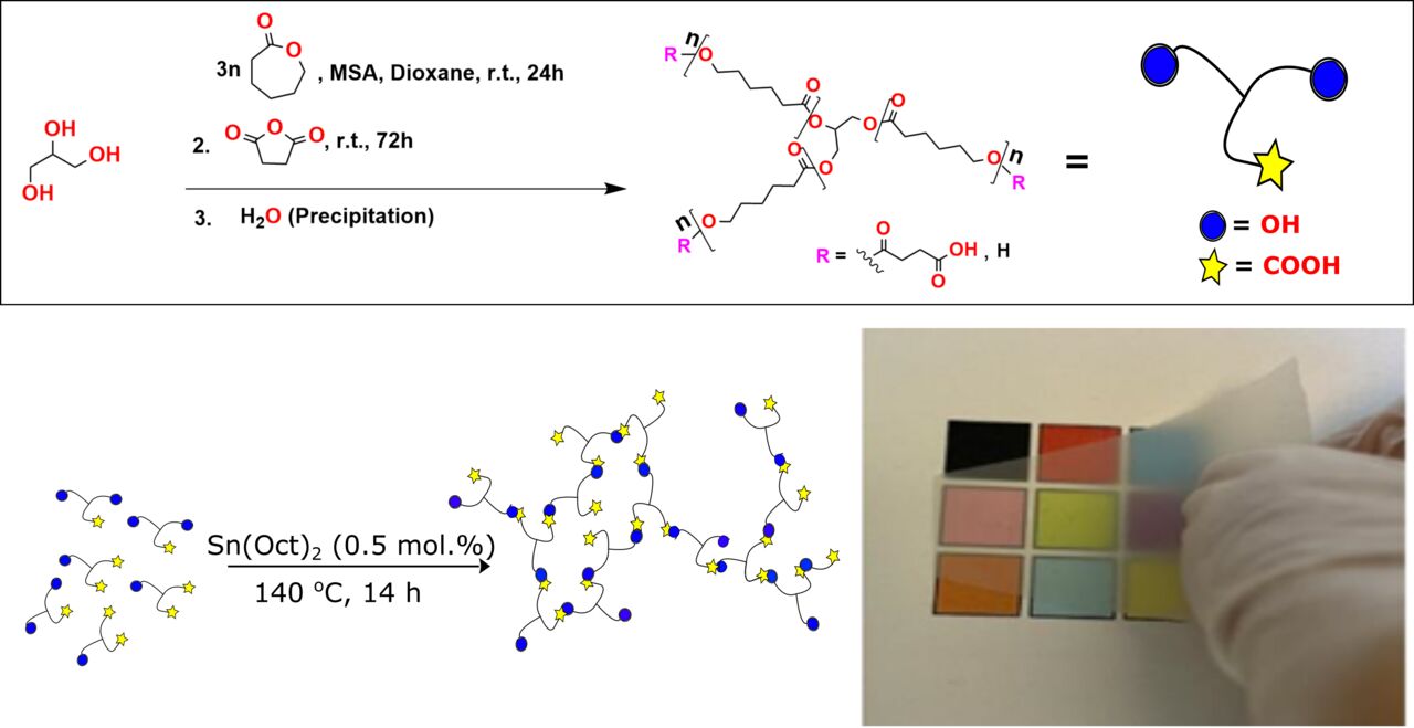 Synthesis and Polymerization of Modular Units