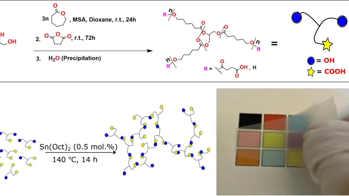 Synthesis and Polymerization of Modular Units