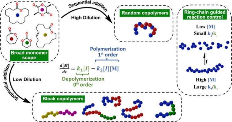 Mastering Macromolecular Architecture by Controlling the Ring-Chain Equilibrium