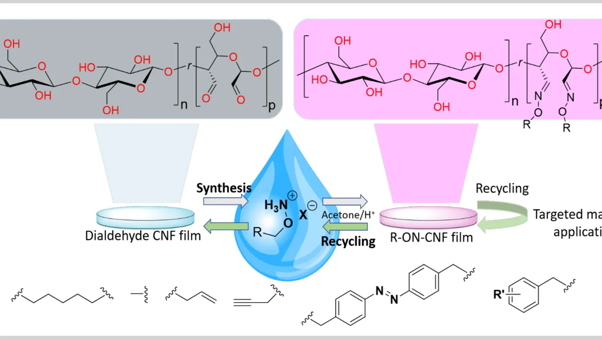 Oxime Ligation, covalent and reversible modification in water. 