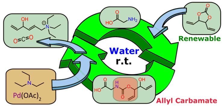 Alloc Mimic, development of biobased amine protection chemistry for deprotection in water.