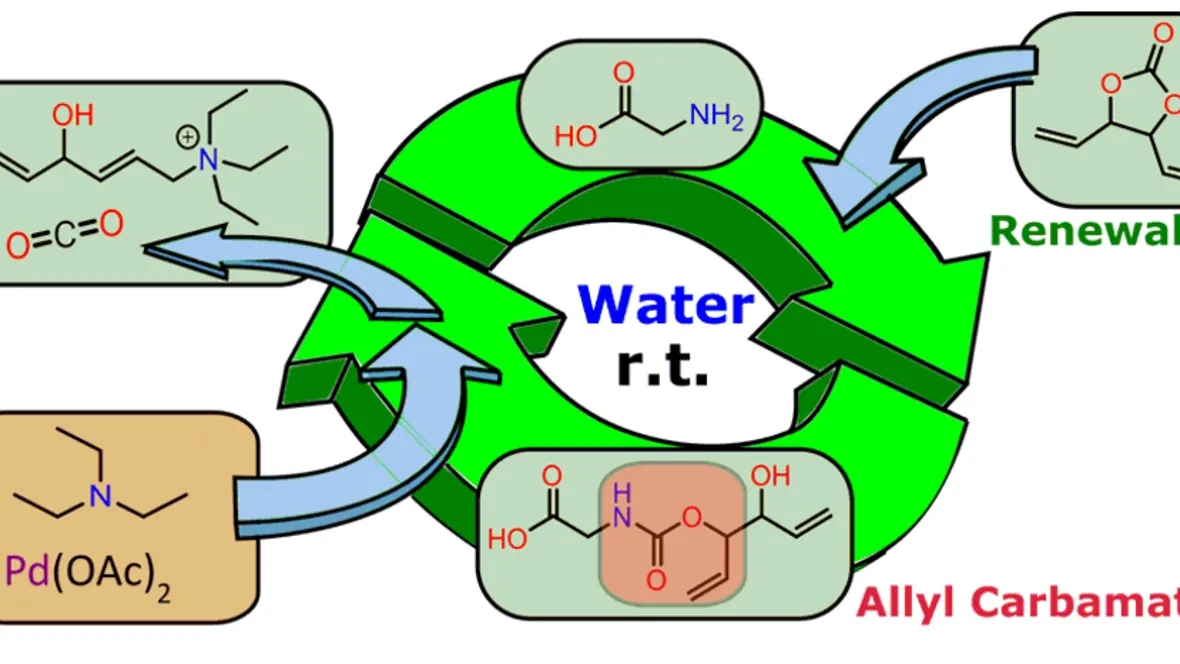 Alloc Mimic, development of biobased amine protection chemistry for deprotection in water.