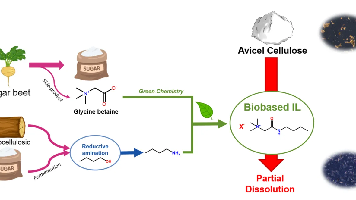 Biobased ionic liquids for the chemical activation of cellulose.