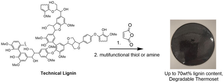 Technical lignin designed for degradation.