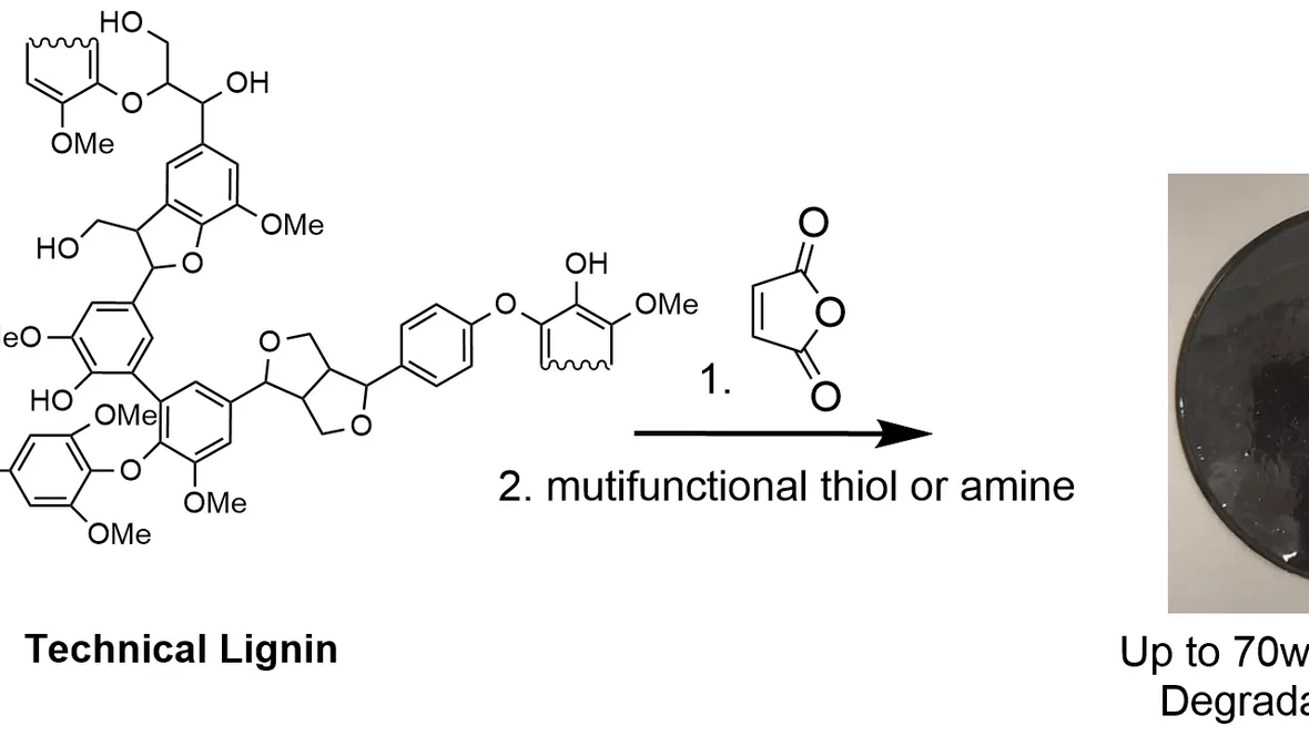 Technical lignin designed for degradation.