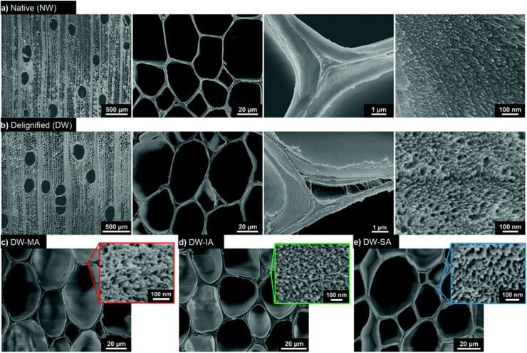 Nano-structural control of wood templates