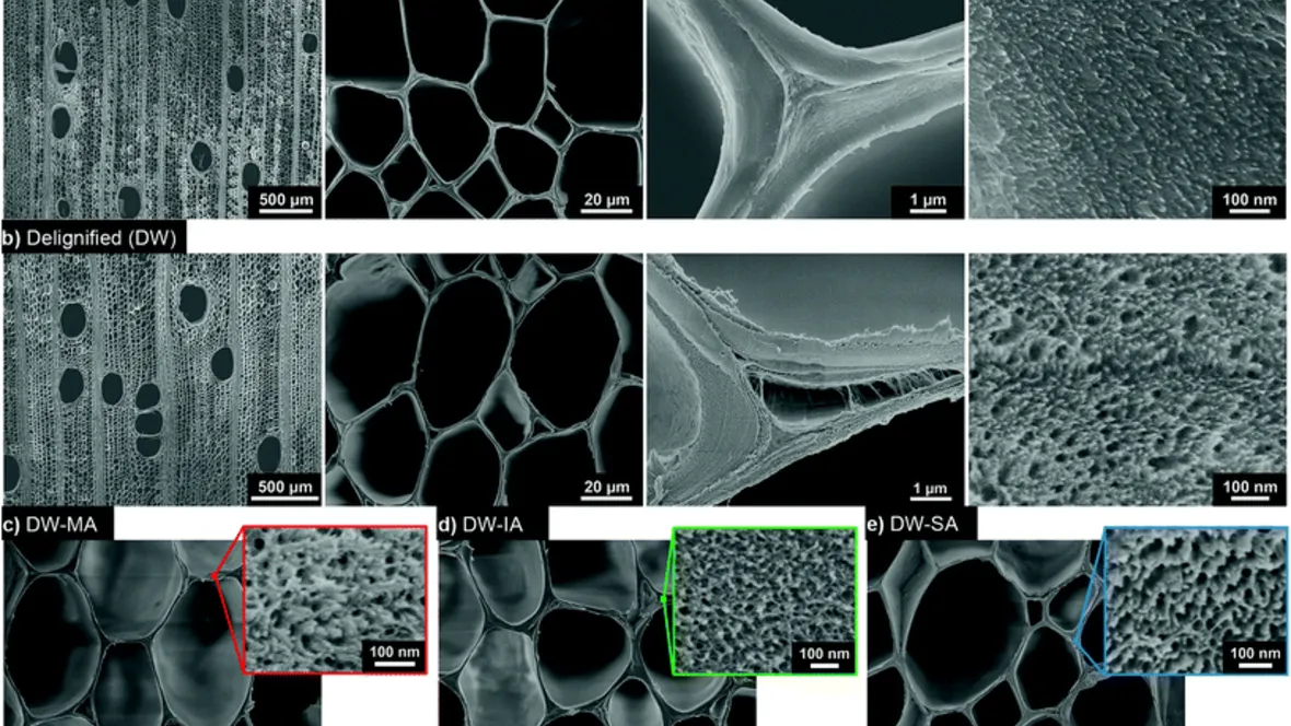 Nano-structural control of wood templates