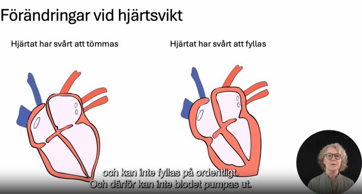 Skärmbild från 1177