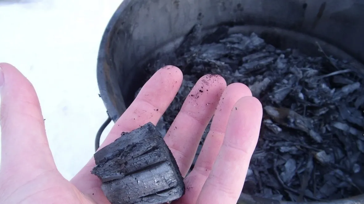 Biochar.