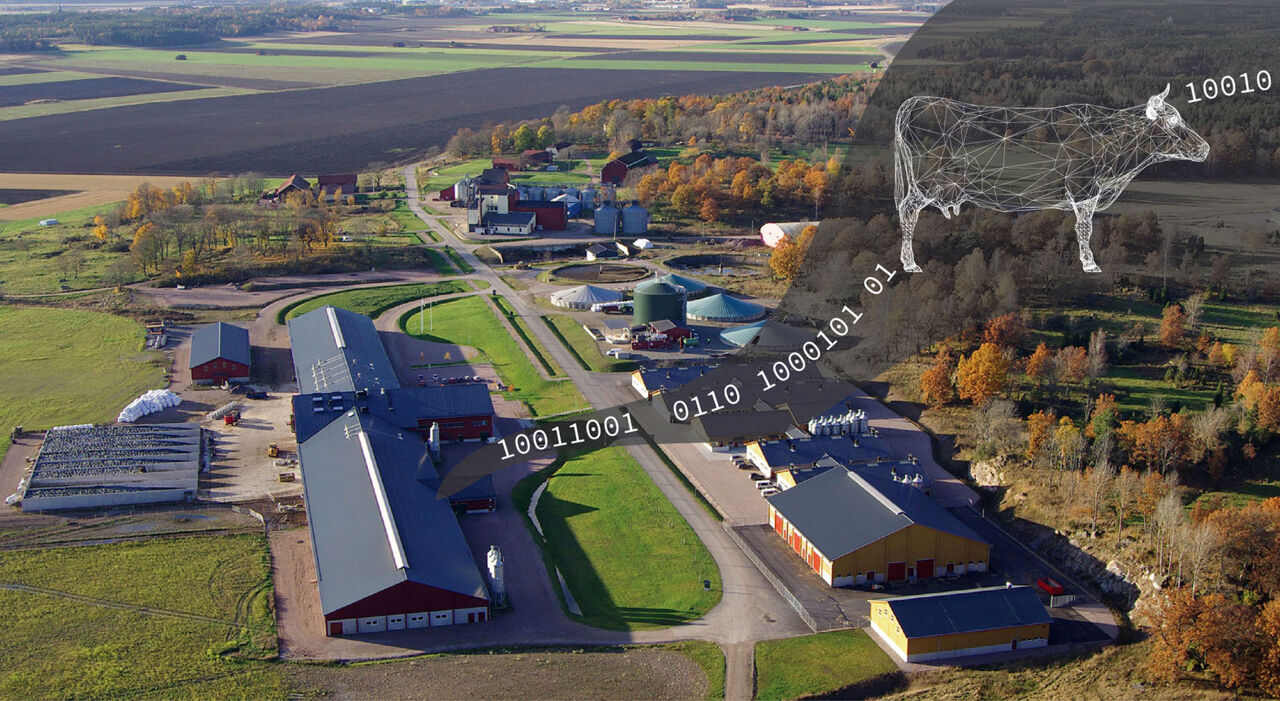 Collage for Gigacow, over Lövstad