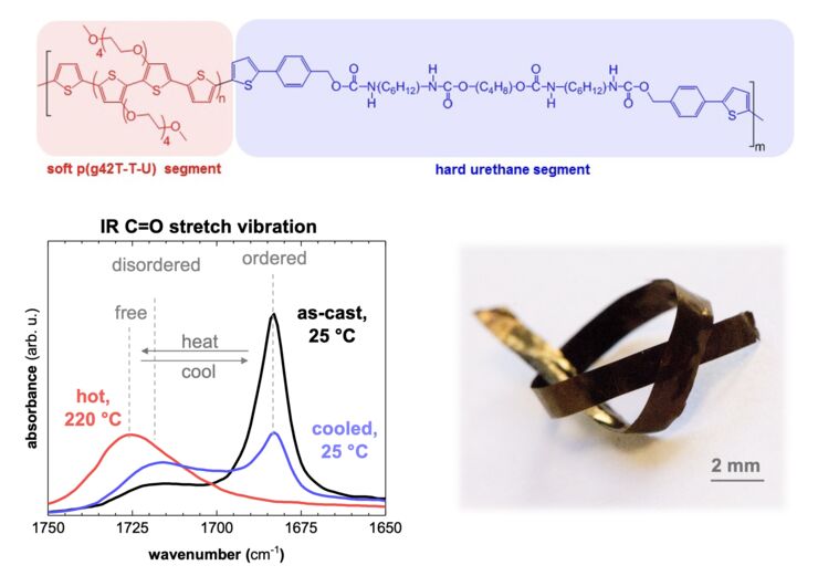 Chemical design of the p(g4-2T-T-U) copolymer