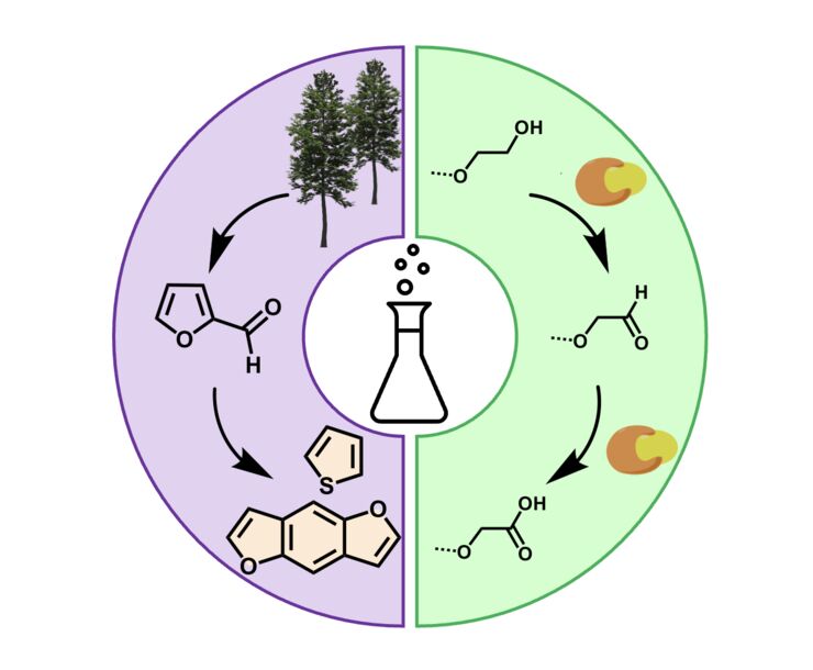 Green synthesis of conjugated polymers 