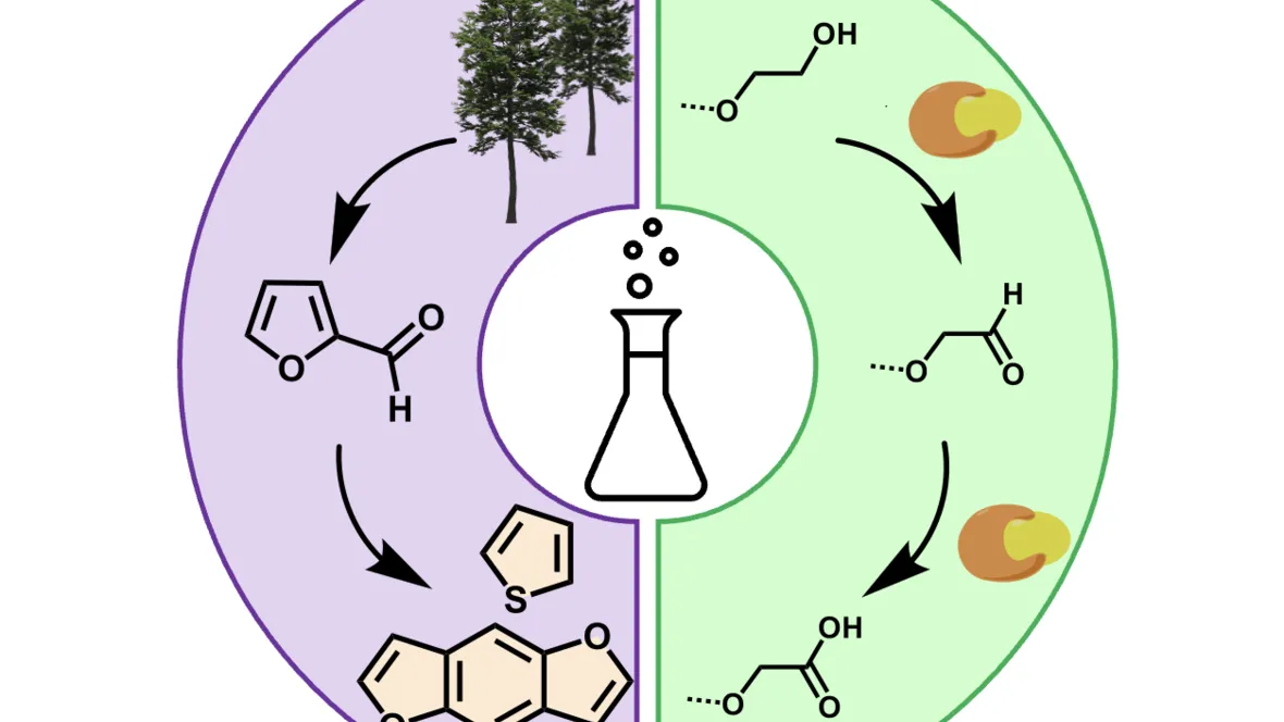 Green synthesis of conjugated polymers 