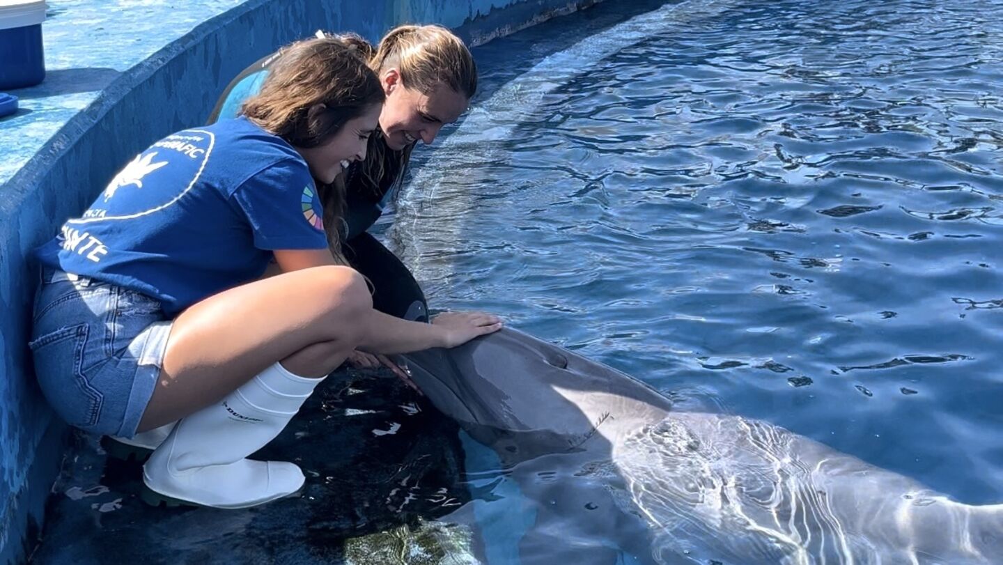 Two trainers with a dolphin in a pool.