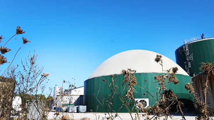 Studiebesök om biogas på Gotland.
