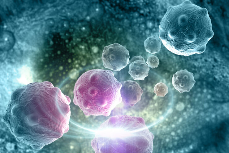 Biomedicin.