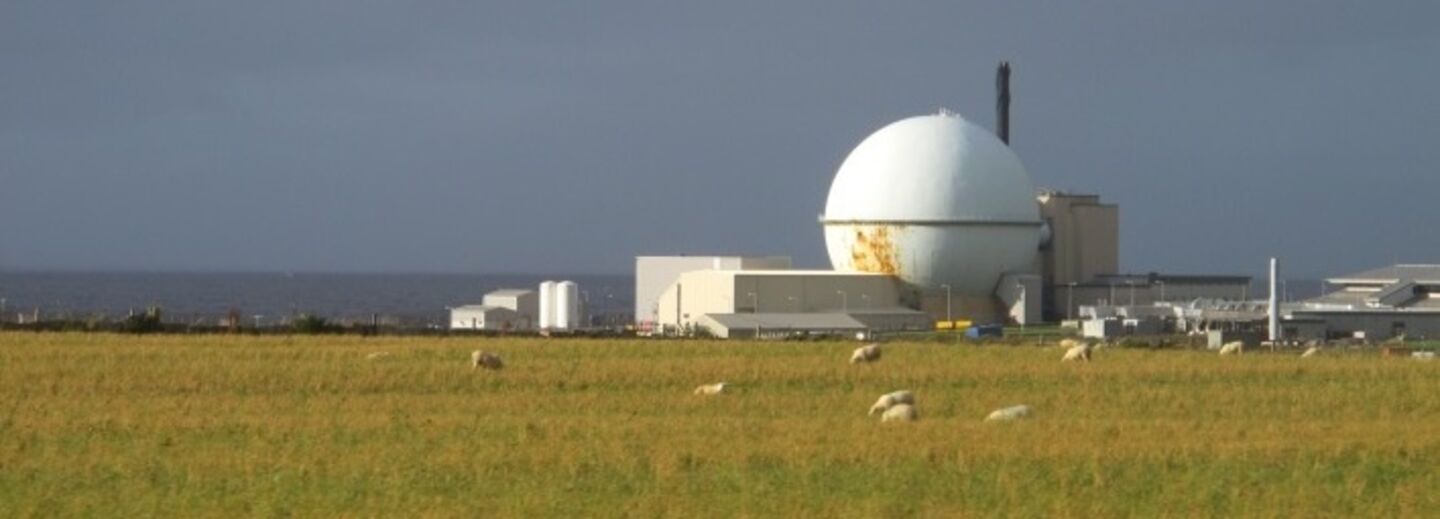 Dounreay kärnkraftsanläggning i norra Skottland. I förgrunden får som betar, i bakgrunden Nordsjön.