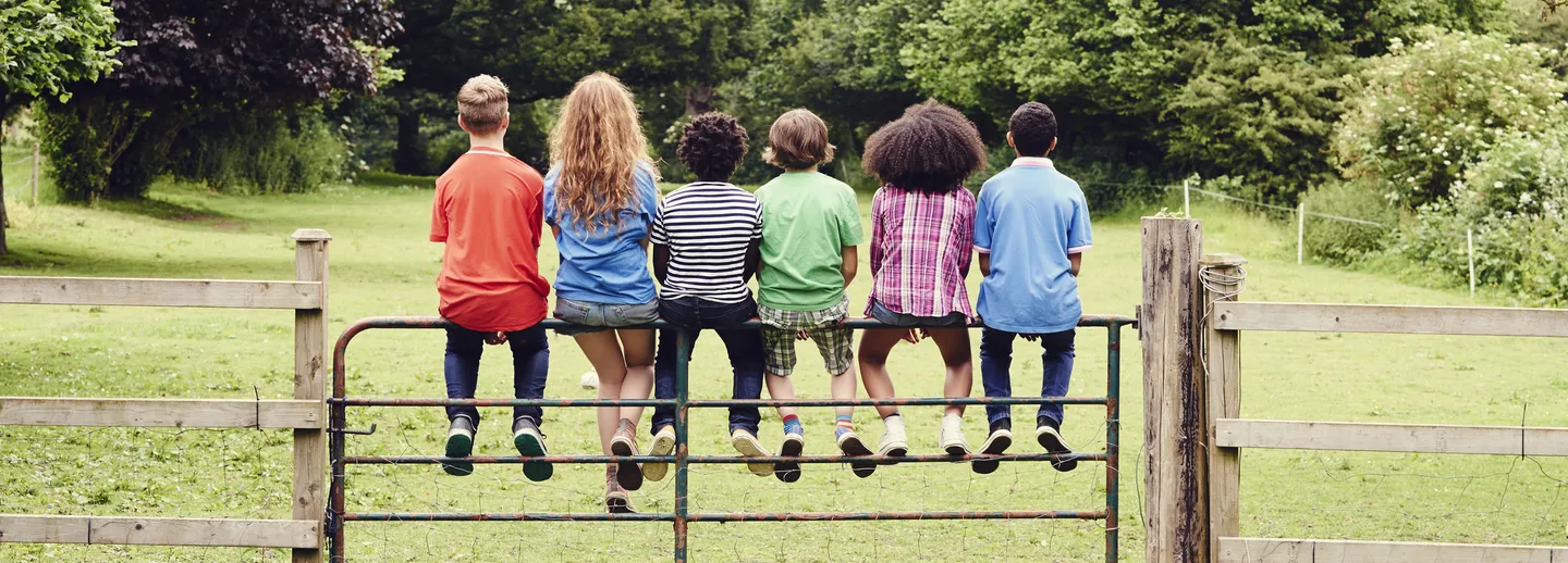 Barn sitter på en grind i grönt landskap.