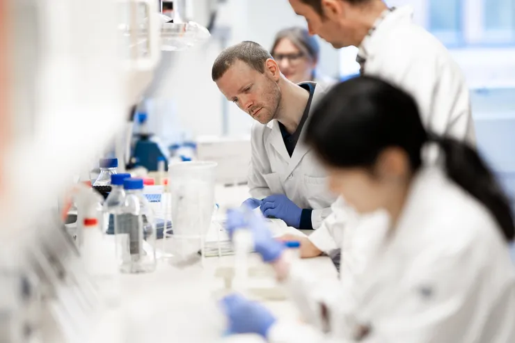 Several people engaging in lab work.