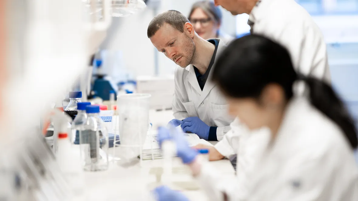 Flera personer arbetar på labb.